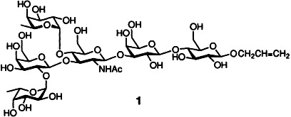 An Interactive Strategy for the Assembly of Complex, Branched Oligosaccharide Domains on a Solid Support: A Concise Synthesis of the Lewisb Domain in Bioconjugatable Form