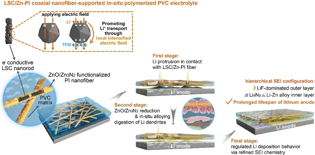 Revealing the Influence of Electron Migration Inside Polymer Electrolyte on Li+ Transport and Interphase Reconfiguration for Li Metal Batteries
