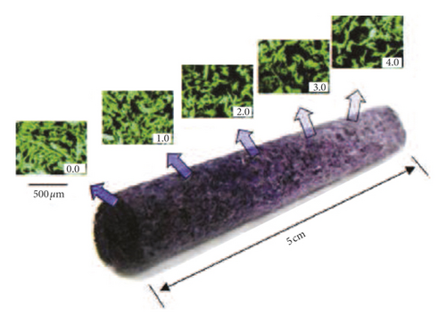 Details are in the caption following the image