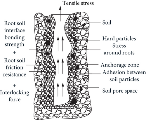 Details are in the caption following the image Details are in the caption following the image