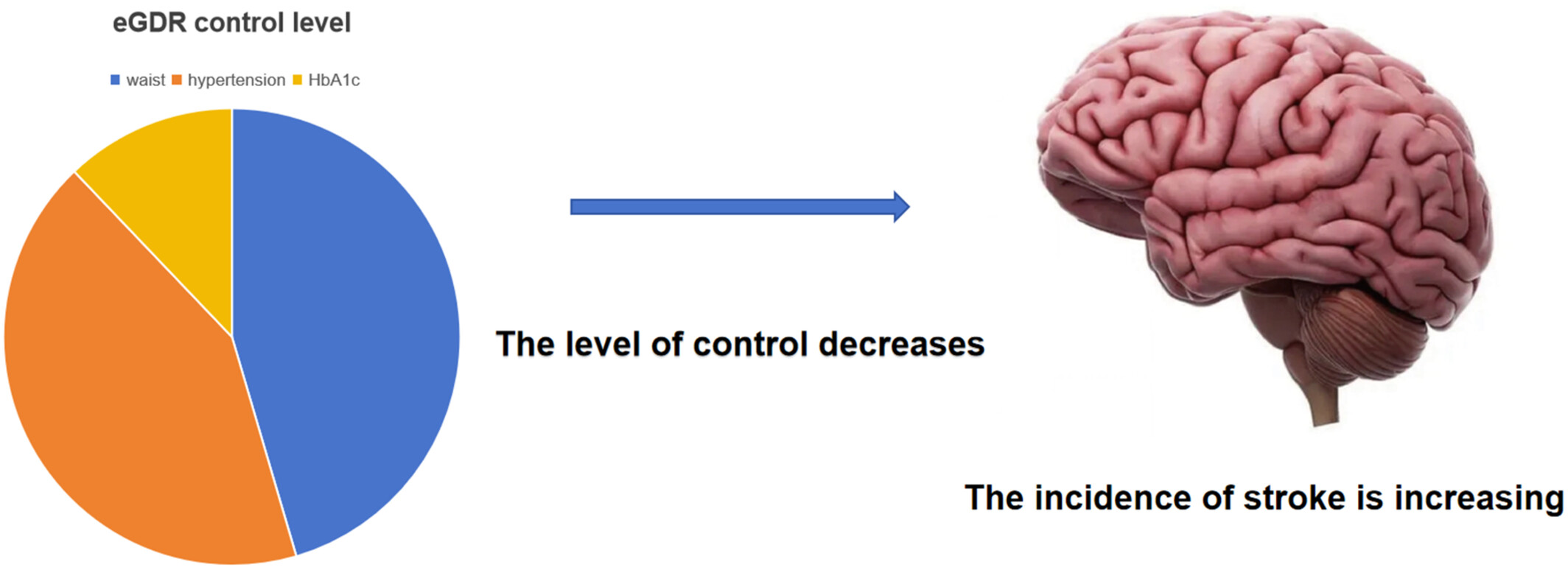 Association between estimated glucose disposal rate control level and stroke incidence in middle-aged and elderly adults Issue 8, 2024