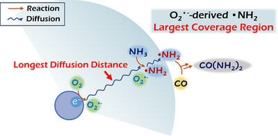 Air-Level Oxygen Enables 100% Selectivity in Urea Synthesis via Photocatalytic C─N Coupling of CO and Ammonia