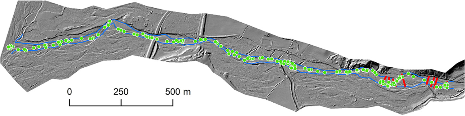 Bedload tracing with RFID tags in gravel-bed rivers: Review and meta-analysis after 20 years of field and laboratory experiments