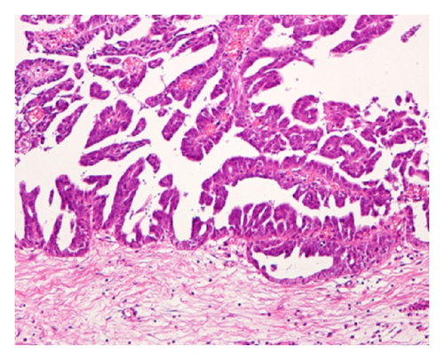 Details are in the caption following the image