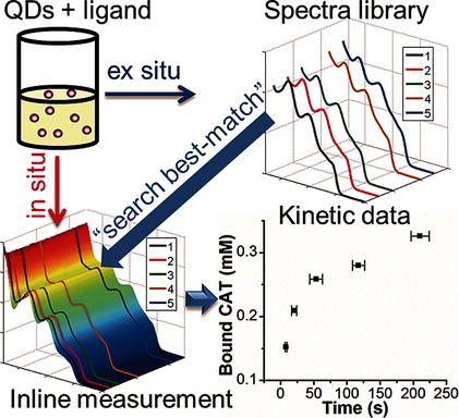Spectra Library: An Assumption-Free In Situ Method to Access the Kinetics of Catechols Binding to Colloidal ZnO Quantum Dots