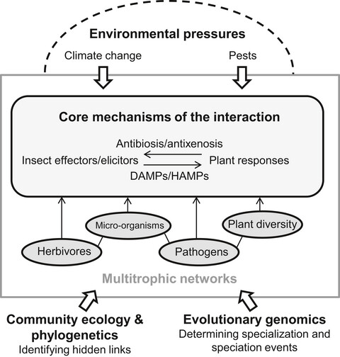 Promises and challenges in insect–plant interactions