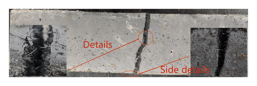 Details are in the caption following the image Details are in the caption following the image