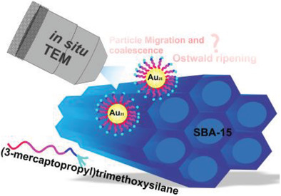 Probing the Thermal Stability of (3-Mercaptopropyl)-trimethoxysilane-Protected Au25 Clusters by In Situ Transmission Electron Microscopy