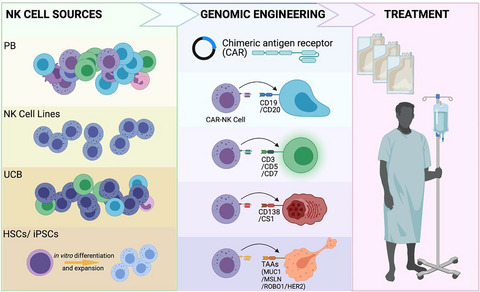 CAR-NK cells: the next wave of cellular therapy for cancer