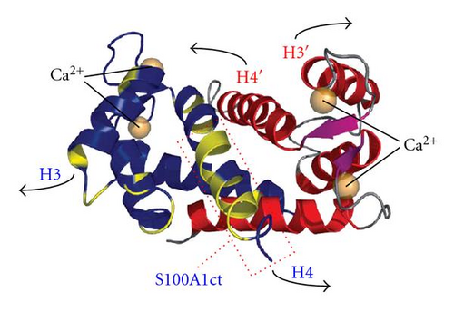 Details are in the caption following the image