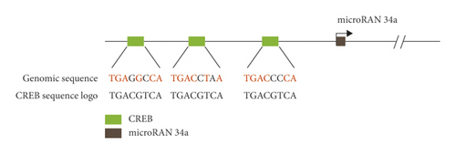 Details are in the caption following the image