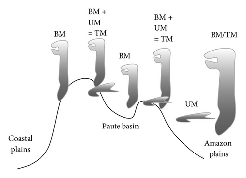 Details are in the caption following the image