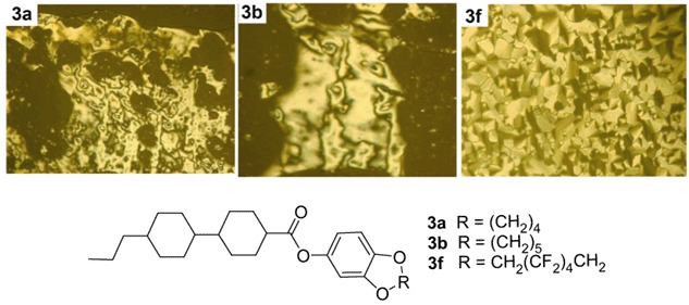 Fluorocarbon and Hydrocarbon Benzodioxocycloalkane (C8–C10) End Groups: Effects on Mesomorphism