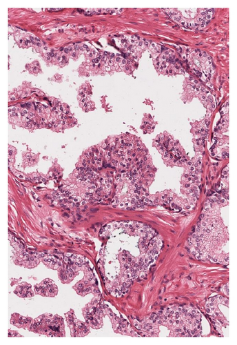 Details are in the caption following the image
