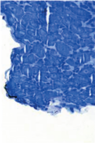 Details are in the caption following the image