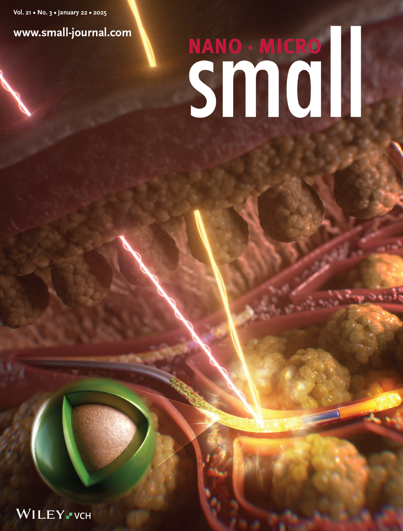 Shortwave Infrared Imaging of a Quantum Dot-Based Magnetic Guidewire Toward Non-Fluoroscopic Peripheral Vascular Interventions (Small 3/2025) Volume 21 Issue 3, 2025