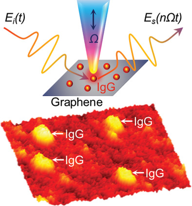 Near-Field Nanoscopic Terahertz Imaging of Single Proteins