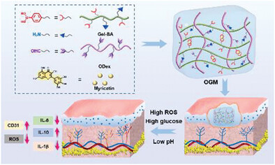 An Intelligent Hydrogel Platform with Triple-Triggered On-Demand Release for Accelerating Diabetic Wound Healing