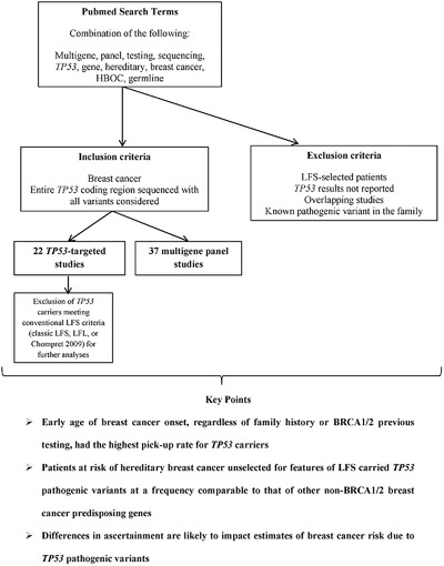 Current review of TP53 pathogenic germline variants in breast cancer patients outside Li-Fraumeni syndrome