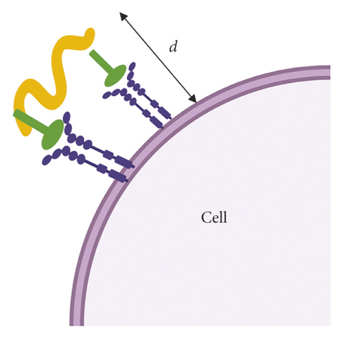 Details are in the caption following the image