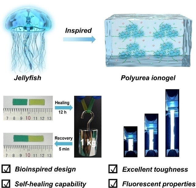 Jellyfish-Inspired Polyurea Ionogel with Mechanical Robustness, Self-Healing, and Fluorescence Enabled by Hyperbranched Cluster Aggregates