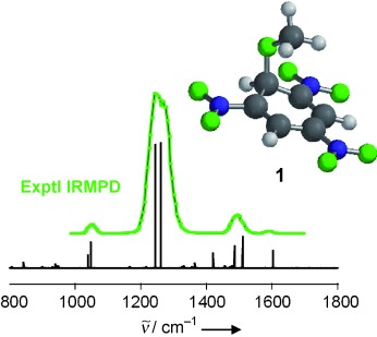 Meisenheimer Complexes Positively Characterized as Stable Intermediates in the Gas Phase