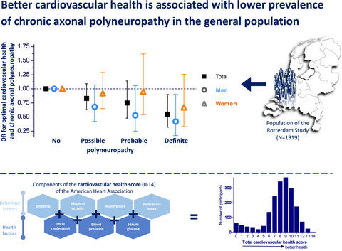 Cardiovascular health and chronic axonal polyneuropathy: A population-based study