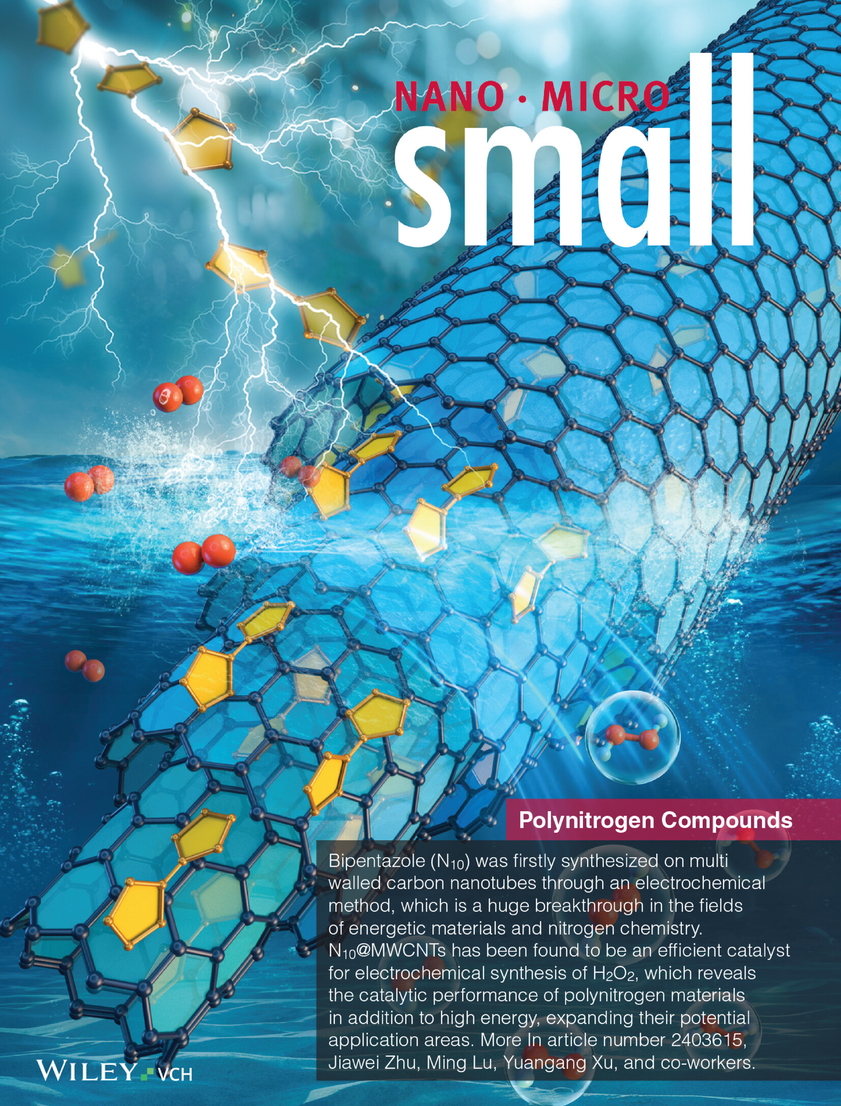 High-Energy Polynitrogen N10 Stabilized on Multi-Walled Carbon Nanotubes (Small 43/2024) Volume 20 Issue 43, 2024