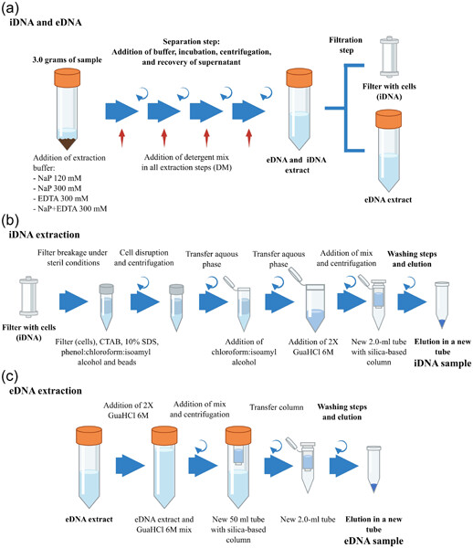 An improved method for intracellular DNA (iDNA) recovery from terrestrial environments