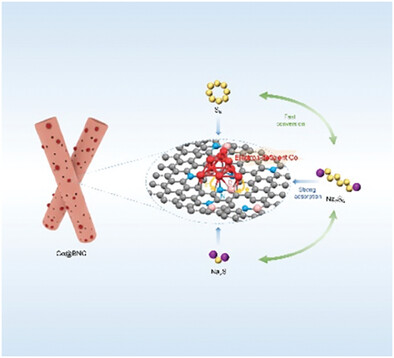 A Highly Dispersed Cobalt Electrocatalyst with Electron-Deficient Centers Induced by Boron toward Enhanced Adsorption and Electrocatalysis for Room-Temperature Sodium–Sulfur Batteries