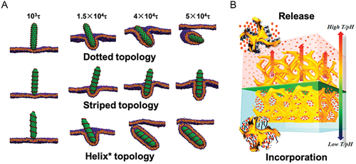 Details are in the caption following the image Details are in the caption following the image