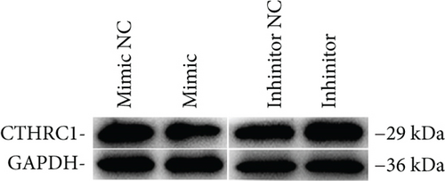 Details are in the caption following the image