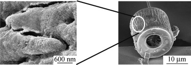 Thin, Conformal, and Continuous SnO2 Coatings on Three-Dimensional Biosilica Templates through Hydroxy-Group Amplification and Layer-By-Layer Alkoxide Deposition