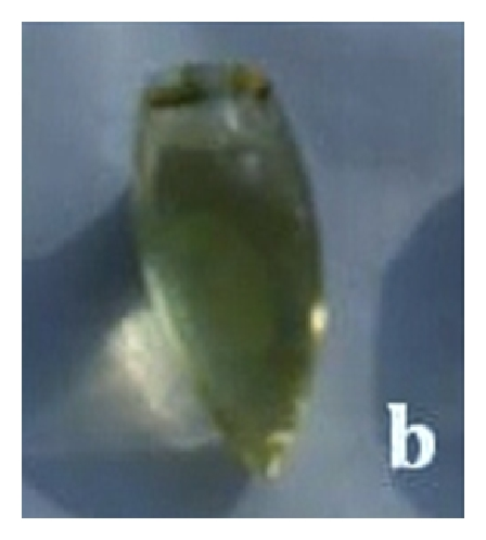 Details are in the caption following the image