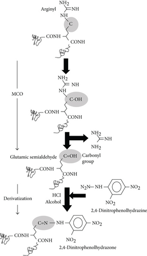 Details are in the caption following the image