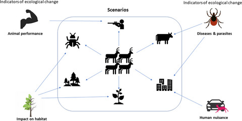 Wild ungulate overabundance in Europe: contexts, causes, monitoring and management recommendations Issue 1, 2021