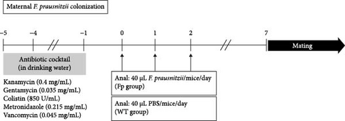 Details are in the caption following the image Details are in the caption following the image