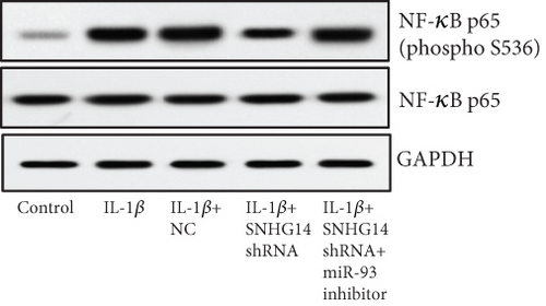Details are in the caption following the image