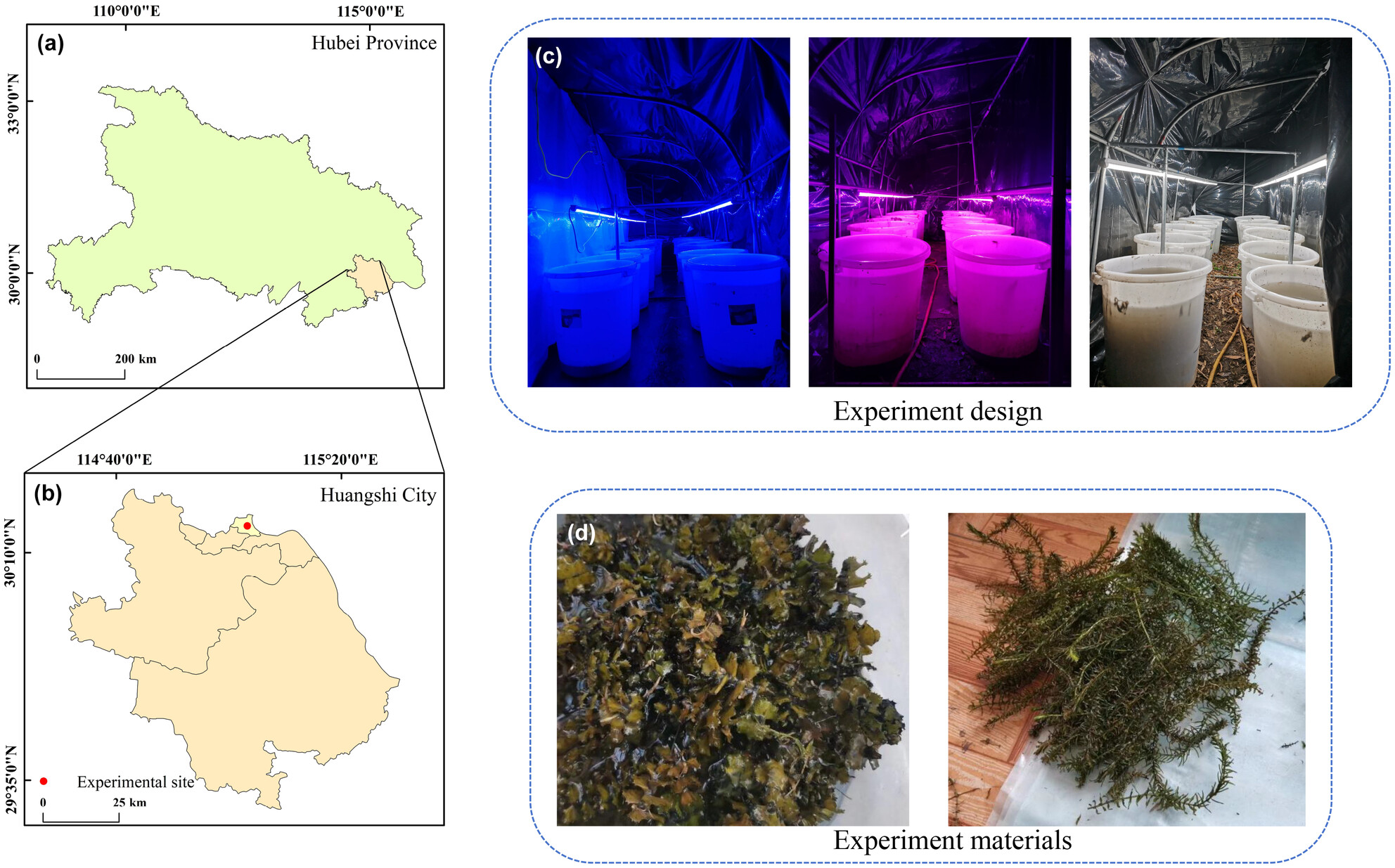 How Do Different Growth Forms of Winter Submerged Macrophytes Species Respond to Underwater Light Quality in a Mesocosm Study?
