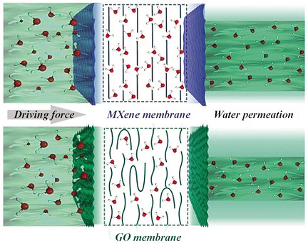 A Regularly Channeled Lamellar Membrane for Unparalleled Water and Organics Permeation