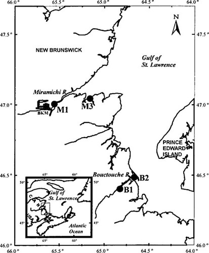 Details are in the caption following the image