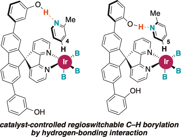 Remote Hydrogen Bonding between Ligand and Substrate Accelerates C–H Bond Activation and Enables Switchable Site Selectivity