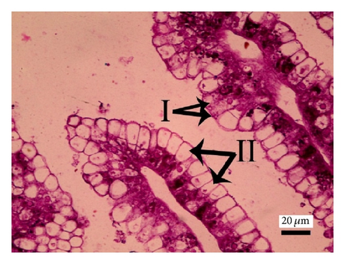 Details are in the caption following the image