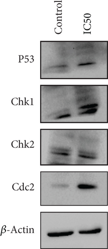 Details are in the caption following the image