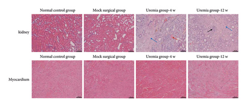 Details are in the caption following the image Details are in the caption following the image