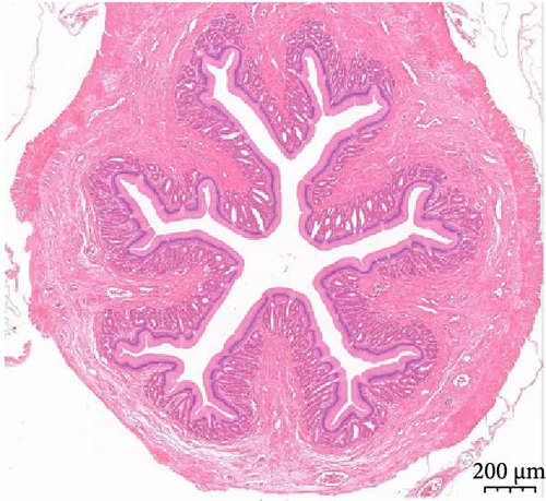 Details are in the caption following the image