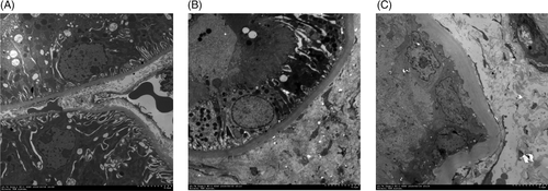 Details are in the caption following the image