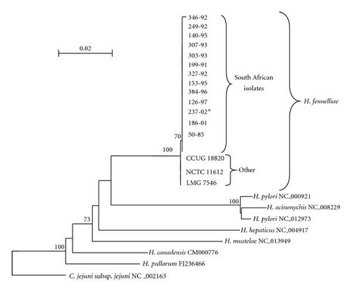 Details are in the caption following the image Details are in the caption following the image