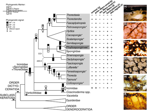Details are in the caption following the image Details are in the caption following the image