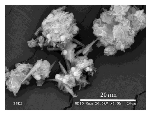 Details are in the caption following the image